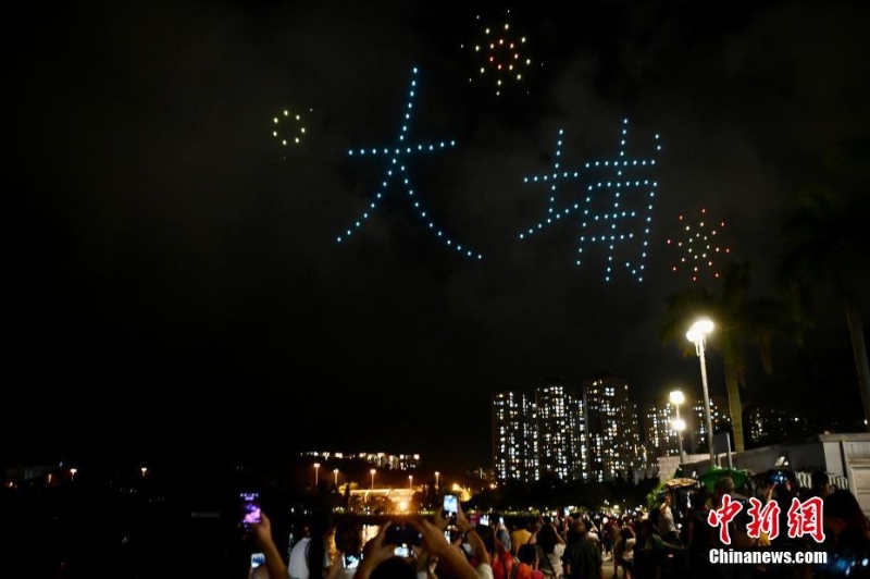 香港大埔海、陸、空匯演慶回歸