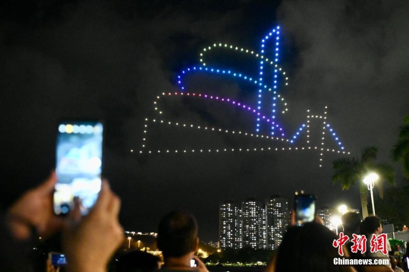 香港大埔海、陸、空匯演慶回歸