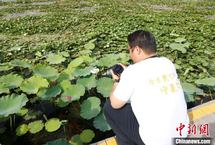 點(diǎn)擊進(jìn)入下一頁(yè)