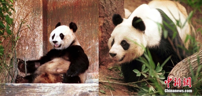 點擊進入下一頁