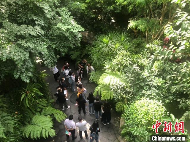 “爭先崛起看中部”——第十七屆全國網(wǎng)絡(luò)媒體山西行采訪團(tuán)在熱帶雨林館聽取講解?！±钔ヒ?攝