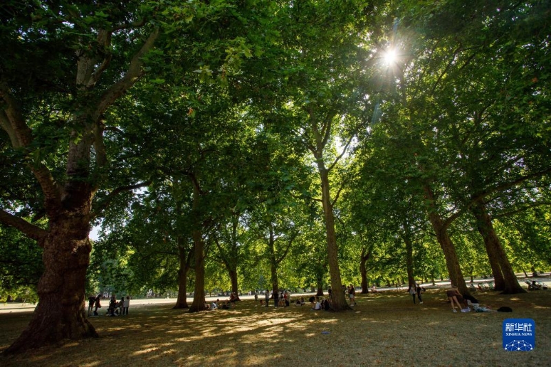 7月19日，人們?cè)谟?guó)倫敦一處公園納涼。當(dāng)日11時(shí)，英國(guó)達(dá)到39.1攝氏度的歷史最高溫度。（圖源：新華社）