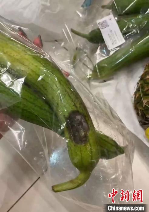 一消費者向中新財經(jīng)展示其在某生鮮電商買到的爛絲瓜。 受訪者供圖。