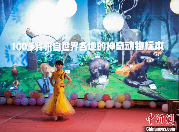 圖為青少年參加貴州省地質(zhì)博物館晚上舉辦的舞臺秀活動?！≠F州省地質(zhì)博物館供圖