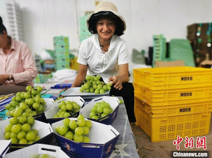 圖為大理漾濞彝族自治縣“00后”姑娘楊字梅，通過葡萄線上售賣產(chǎn)業(yè)鏈增收?！∈┌?攝