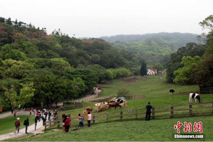 資料圖：臺(tái)灣休閑農(nóng)業(yè)、鄉(xiāng)村旅游名點(diǎn)——苗栗飛牛牧場(chǎng)。陳立宇 攝
