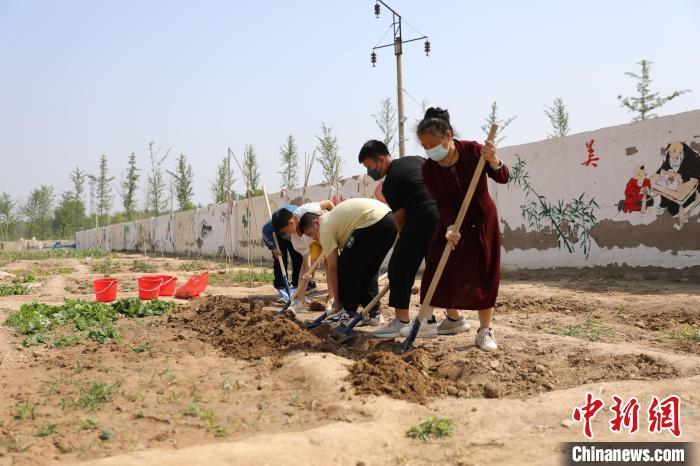 資料圖：河北衡水利民路小學(xué)創(chuàng)設(shè)的“耕讀苑”勞動基地，各班學(xué)生自己設(shè)計班牌，查資料，選擇農(nóng)作物種子。金莉莉 攝