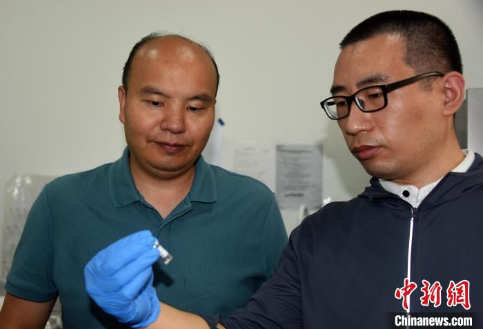 國考大考古系主任楊益民教授(左)、國科大特別研究助理韓賓博士在一起交流?！?lt;a target='_blank' href='/'>中新社</a>記者 孫自法 攝