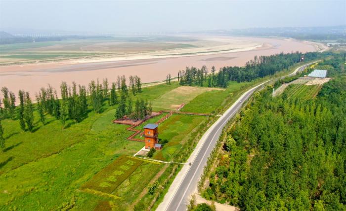 這是2022年8月10日在河南省三門峽市拍攝的黃河生態(tài)廊道(無(wú)人機(jī)照片)。新華社記者 郝源 攝