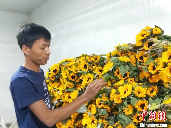 李建耀查看儲備的鮮花情況?！≮w國華 攝