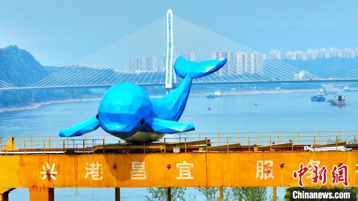 “江豚躍龍門”成為宜昌新地標(biāo)?！≈苄橇?攝