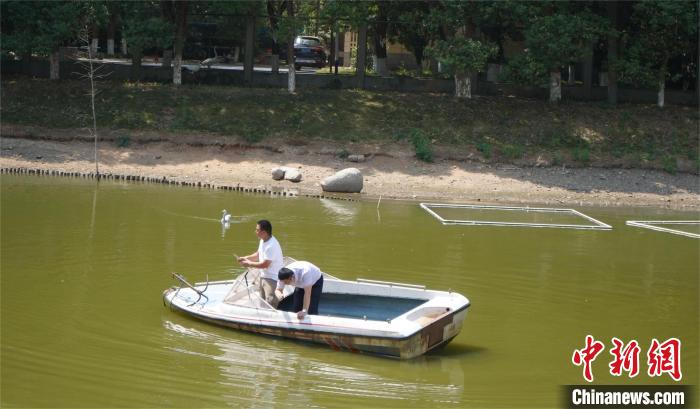 鄱陽湖保護區(qū)和湖北秀湖植物園工程師對擬選基地的水源水質狀況進行勘察?！≯蛾柡Ｗo區(qū) 供圖