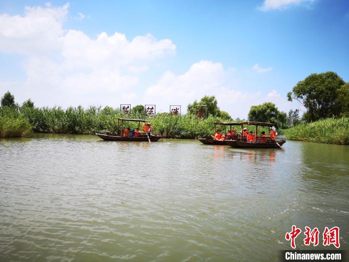 游客乘船進(jìn)入鹽城大縱湖“蘆蕩迷宮”?！∩虼毫?攝