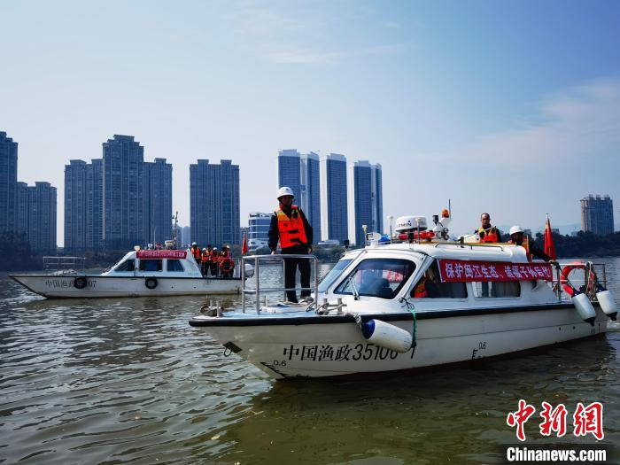 福建省海洋與漁業(yè)執(zhí)法部門在閩江流域加強執(zhí)法巡查?！「＝ㄊ『Ｑ笈c漁業(yè)執(zhí)法總隊 供圖
