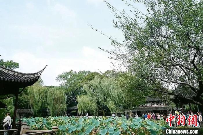 拙政園布局的山島、竹塢、松崗、曲水之趣。圖片來(lái)源：臺(tái)灣《聯(lián)合報(bào)》