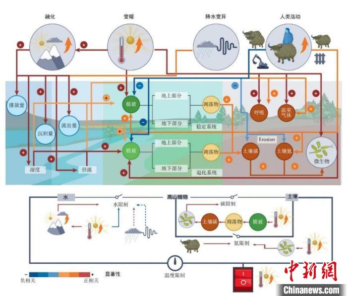 中國科研人員揭示青藏高原上的碳氮循環(huán)變化及驅(qū)動機(jī)制