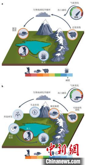 積極的恢復(fù)和碳減排措施有助于實(shí)現(xiàn)可持續(xù)發(fā)展的碳匯功能?！≈锌圃撼啥忌镅芯克﹫D