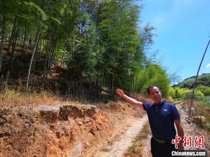 陳毅翔手指處就是當年5位紅軍戰(zhàn)士戰(zhàn)斗犧牲的地方——楊梅嶺。　雷朝良 攝