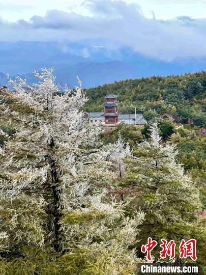 10月4日，泰山之巔現(xiàn)霧凇奇觀，冰雕玉砌、晶瑩閃爍的霧凇綴滿枝頭，一樹樹、一叢叢，甚是好看?！±捉?攝