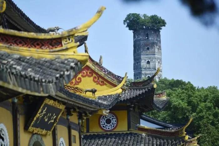 江心嶼東塔，塔頂自然生長一株100多年樹齡的榕樹。圖片來源：臺灣《經(jīng)濟(jì)日報(bào)》