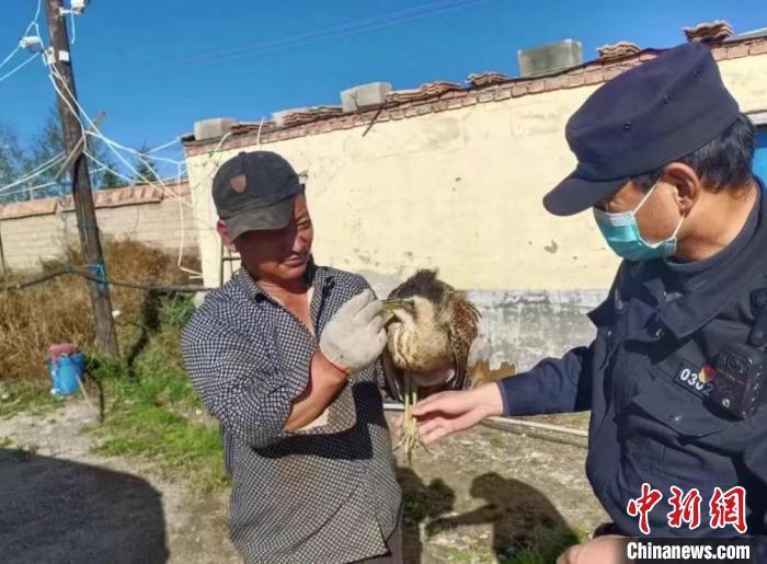 圖為被救助的大麻鳽。　青海湖國家級自然保護區(qū)管理局供圖