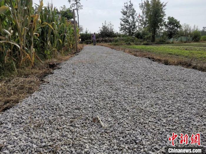 張景運(yùn)利用國(guó)慶假期去拔草修整路面，并自費(fèi)買來(lái)石子鋪在了上面。　國(guó)網(wǎng)泗洪縣供電公司供圖