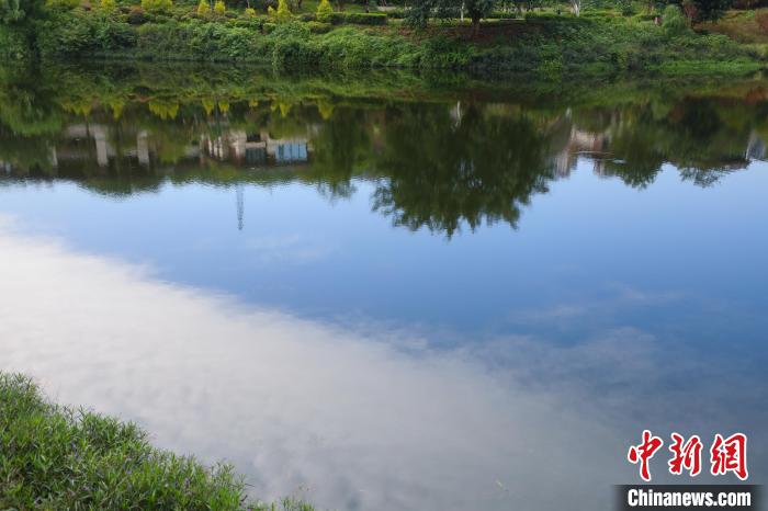 重慶兩江新區(qū)的肖家溝水庫是嘉陵江水系跳墩河的源頭，如今已打造成魚翔淺底的生態(tài)之湖。　梁欽卿 攝