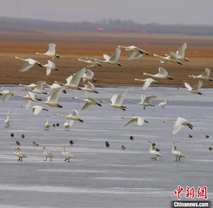 圖為如今的渾善達克沙地腹地?！」苡佬?攝