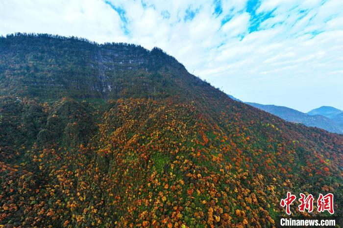 色彩斑斕的瓦屋山。　劉忠俊 攝