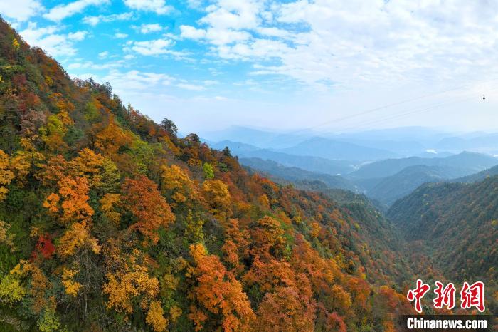 深秋的瓦屋山五彩斑斕，秋色如畫(huà)?！⒅铱?攝