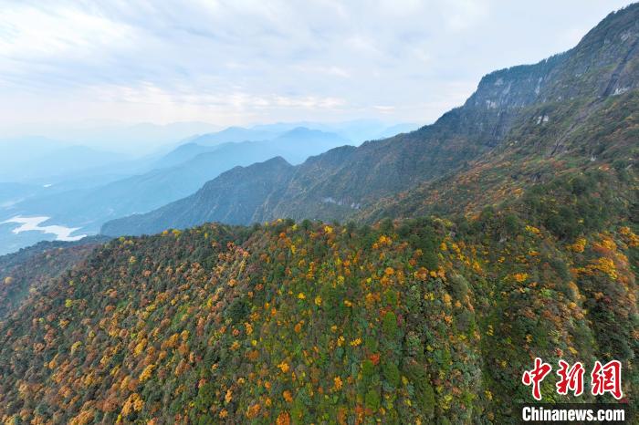 美不勝收的瓦屋山秋景。　劉忠俊 攝