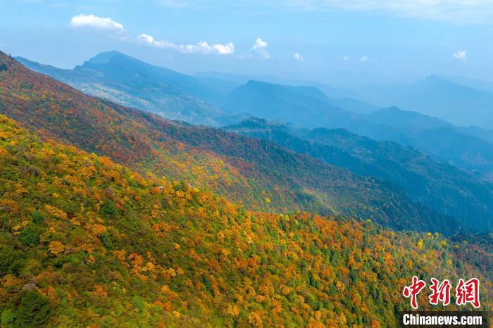 陽(yáng)光下的瓦屋山七彩林。　劉忠俊 攝