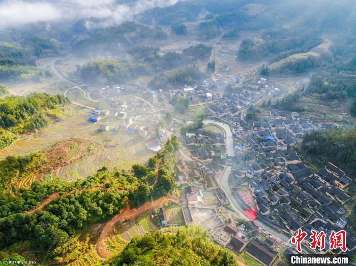 福建屏南：鄉(xiāng)賢返鄉(xiāng)唱“酒”歌“釀”造富民產業(yè)