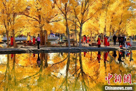 2018年10月下旬，甘肅酒泉市金塔沙漠胡楊林景區(qū)。但在40多年前，這里還滿目皆是光禿禿的荒漠?！钪颈?攝