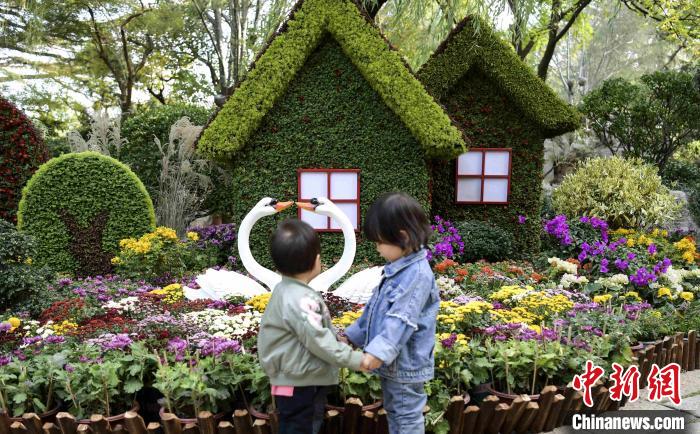 10月25日，第43屆趵突泉金秋菊展在濟(jì)南天下第一泉風(fēng)景區(qū)開(kāi)幕。　張勇 攝