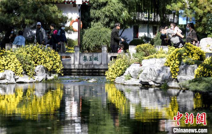 10月25日，第43屆趵突泉金秋菊展在濟(jì)南天下第一泉風(fēng)景區(qū)開(kāi)幕?！堄?攝