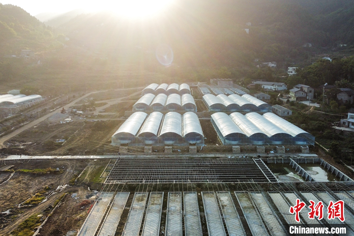 圖為10月19日，航拍初見雛形的“魚菜共生”基地。（無人機照片） <a target='_blank' href='/'>中新社</a>記者 何蓬磊 攝