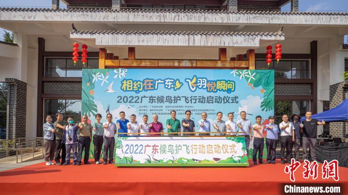 候鳥遷徙季到來廣東啟動2022年候鳥護(hù)飛行動