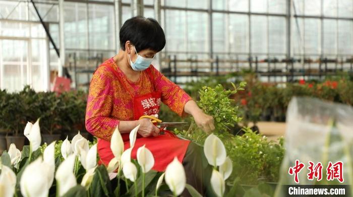 資料圖：忙碌的身影穿梭在果園村的蔬菜花卉繁育基地中。向上 攝