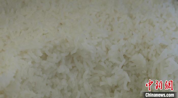 用“巨型稻”煮熟的米飯?！〗ǖ率形麄鞑抗﹫D
