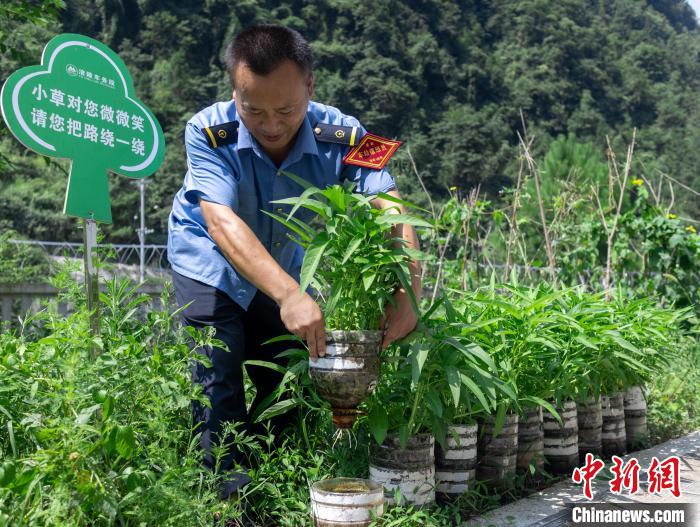 圖為改為無人值守前，員工在打理種植的蔬菜?！□r聯(lián)平 攝
