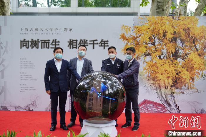 上海留住歷史見(jiàn)證和鄉(xiāng)愁：工程建設(shè)讓位古樹(shù)保護(hù)、為名木建園