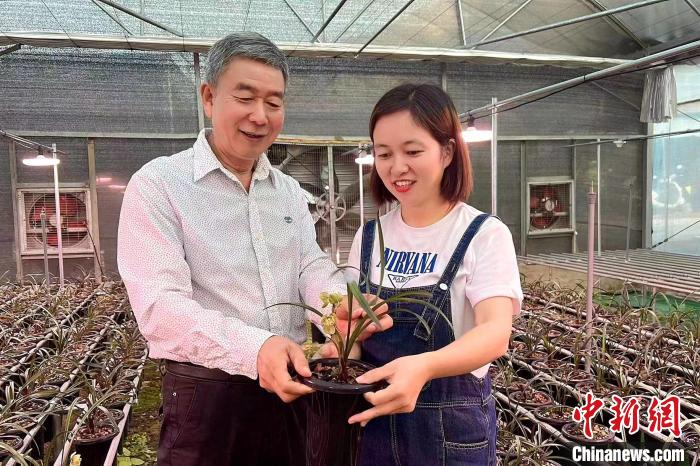 臺灣種蘭人40載扎根閩南：帶徒授藝造?；ㄞr(nóng)