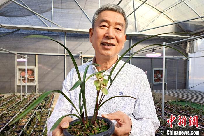 臺胞湯清喜向記者分享他在大陸種植蘭花故事?！×握涿?攝