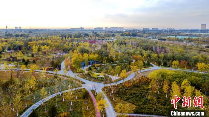 圖為北京通州城市綠心森林公園。　北京市園林綠化局供圖