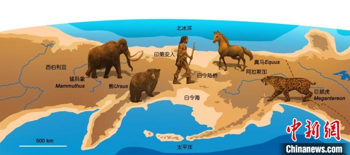 新生代水圈如何影響動(dòng)物圈？研究發(fā)現(xiàn)促古老類群向現(xiàn)代類群轉(zhuǎn)變