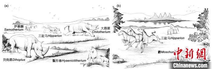 晚中新世華北地區(qū)三趾馬動(dòng)物群生態(tài)復(fù)原：(a) 華北西部； (b) 華北東部?！≈锌圃汗偶棺邓?供圖
