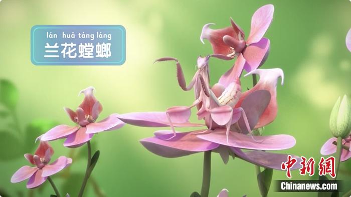 裸眼3D效果圖。供圖