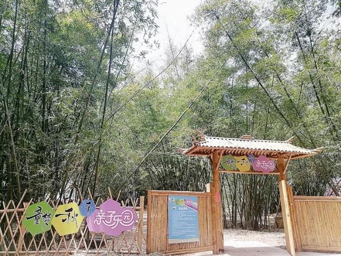 九渡村以荷、竹為重心，發(fā)展鄉(xiāng)村特色旅游。圖片來源：臺(tái)灣《聯(lián)合報(bào)》