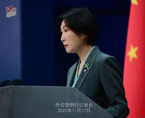 外交部發(fā)言人毛寧。薛偉 攝